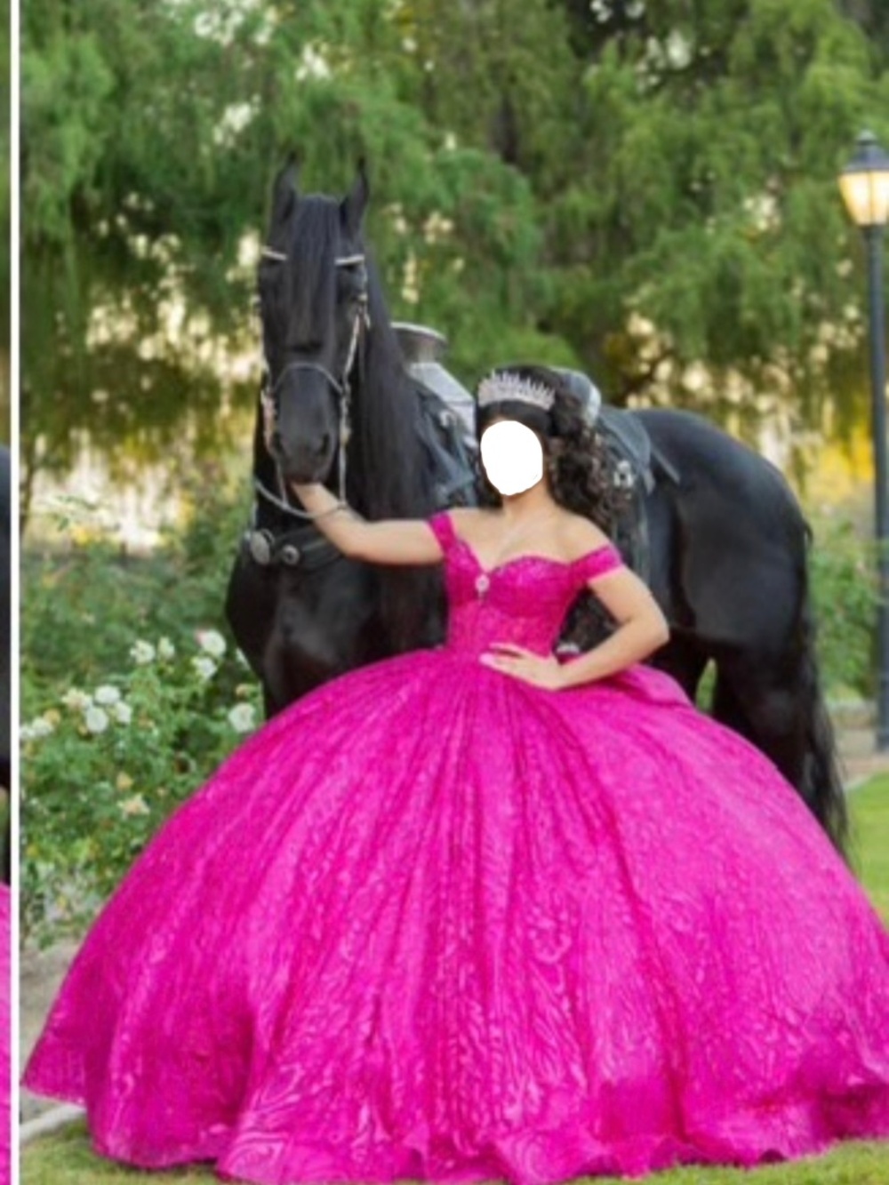 Quinceañera dress